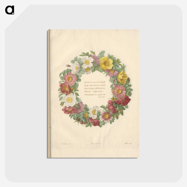 1-62_Pierre-Joseph-Redoute_postcard