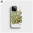 1-62_Plants-with-Colored-Foliage_phone