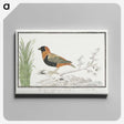 1-62_Robert-Jacob-Gordon_canvas