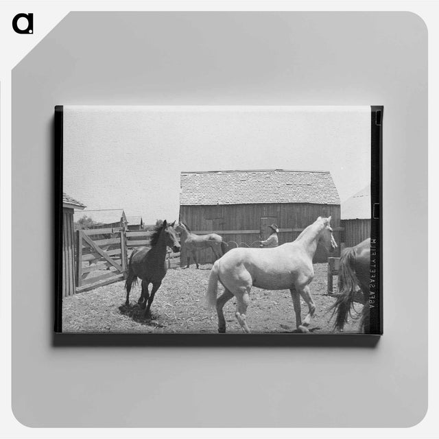 アートパネル-Erasty Emrich and His Horse
 - ラッセル リー Canvas.