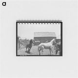 アートメモ帳-Erasty Emrich and His Horse
 - ラッセル リー Memo.