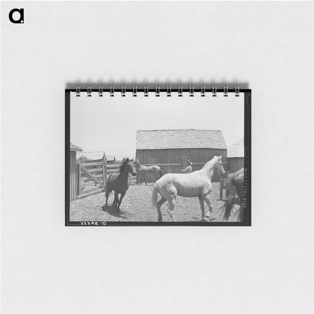 アートメモ帳-Erasty Emrich and His Horse
 - ラッセル リー Memo.
