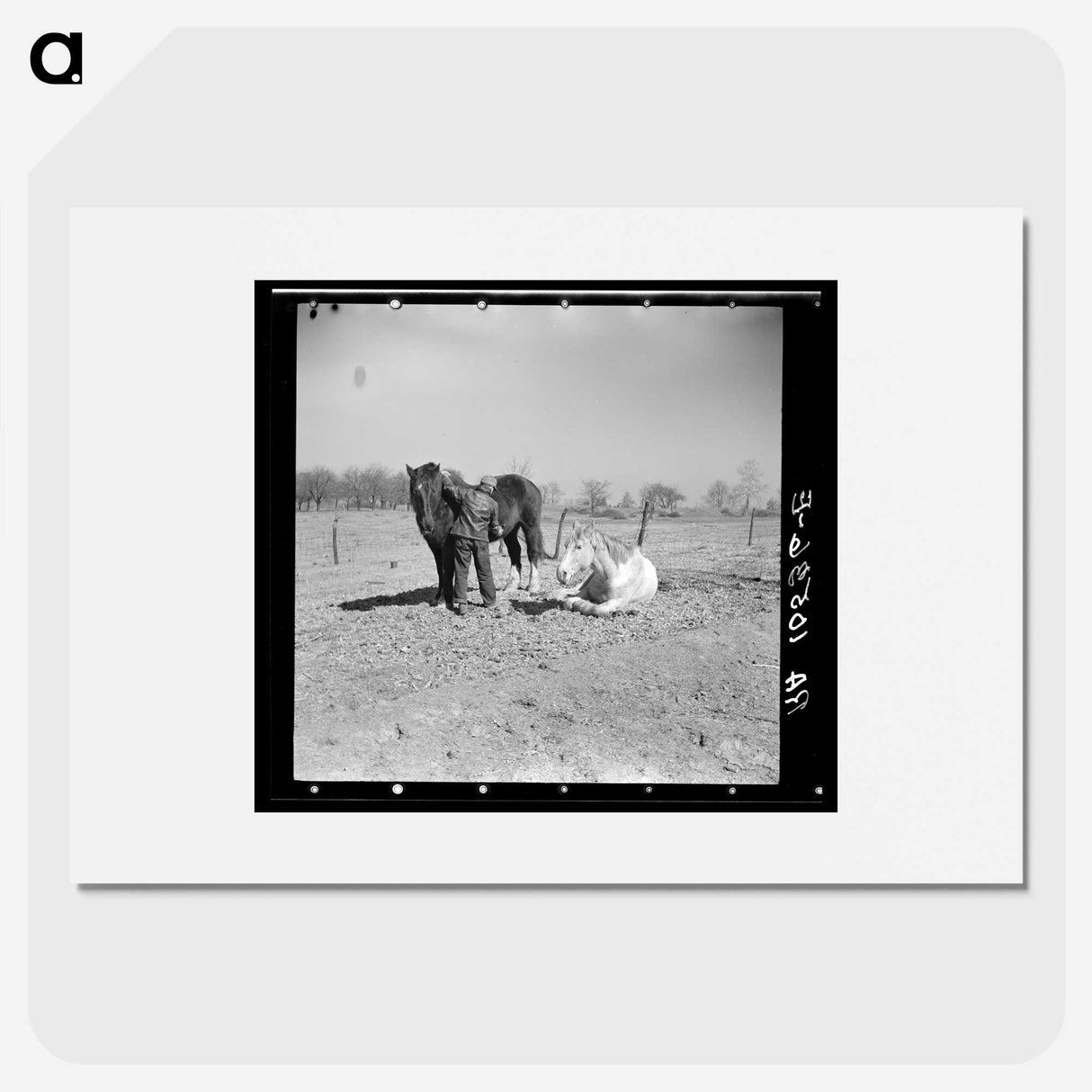 1-62_Russell-Lee_picture