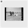 アートポストカード-Erasty Emrich and His Horse
 - ラッセル リー Postcard.