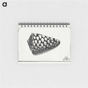 アートメモ帳-Right Side of Shell
 - サミュエル ジェスルン Memo.