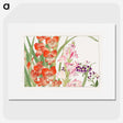 1-62_Seiyo-Soka-Zufu_picture