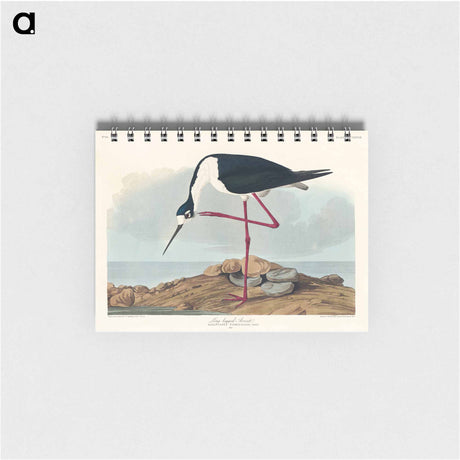 アートメモ帳-Long-legged Avocet from Birds of America
 - アメリカの鳥たち Memo.