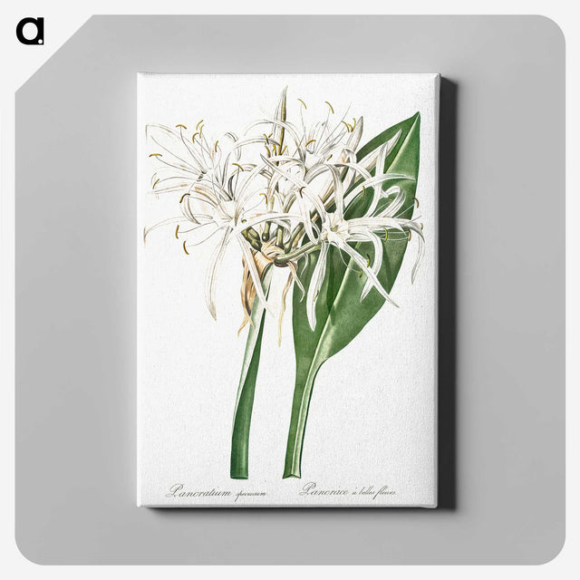 1-62_The-Lilies_canvas