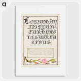 アートポスター-Almond in Flower from Mira Calligraphiae Monumenta
 - 書道のお手本 Poster.