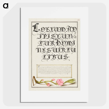 アートポスター-Almond in Flower from Mira Calligraphiae Monumenta
 - 書道のお手本 Poster.