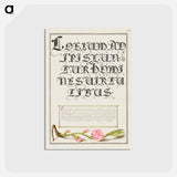 アートポストカード-Almond in Flower from Mira Calligraphiae Monumenta
 - 書道のお手本 Postcard.