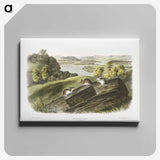 1-62_The-Viviparous-Quadrupeds_canvas