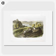 1-62_The-Viviparous-Quadrupeds_picture