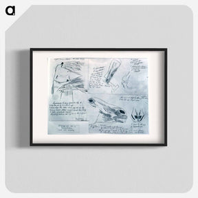 アートポスター-Anatomical studies - トーマス エイキンズ Poster.