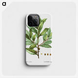 1-62_Treatise-on-Trees-and-Shrubs_phone