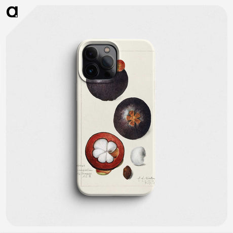1-62_USDA-Watercolor-Fruit-Painting-Collection_phone
