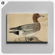 1-62_Wilhelm-von-Wright_canvas