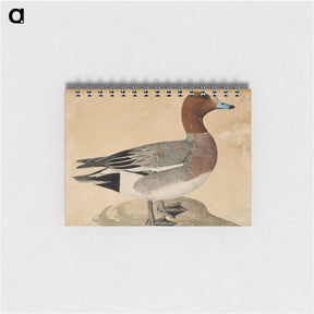 アートメモ帳-Eurasian wigeon - ヴィルヘルム フォン ライト Memo.