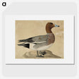 1-62_Wilhelm-von-Wright_picture
