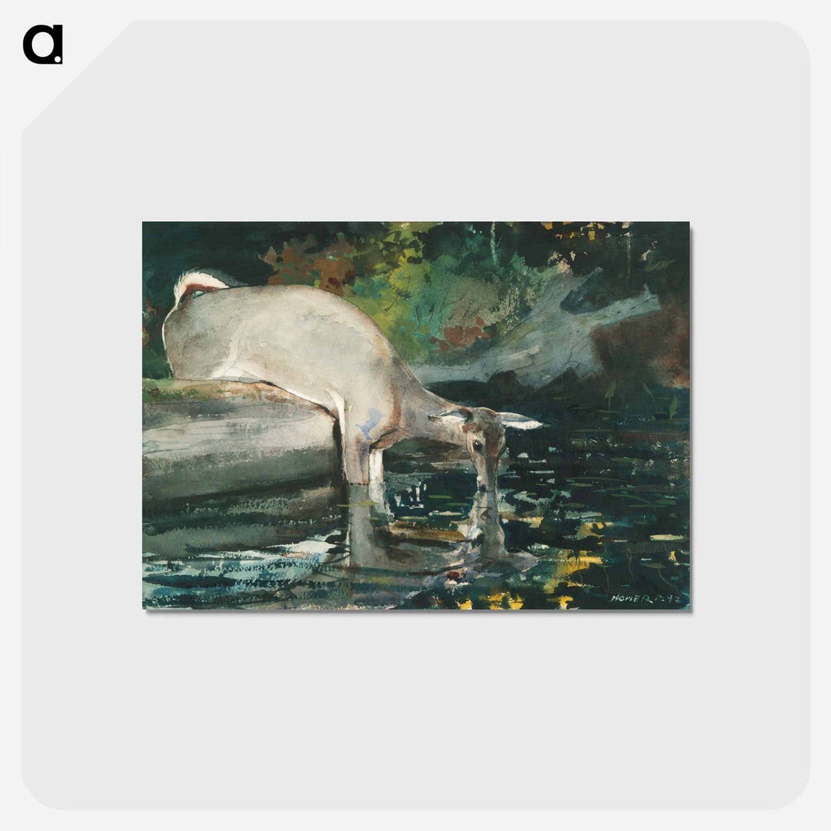 アートポストカード-Deer Drinking
 - イェール大学アートギャラリー Postcard.
