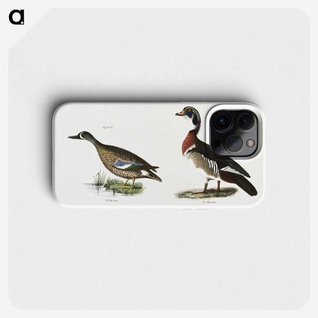 1-62_Zoology-of-New-York_phone