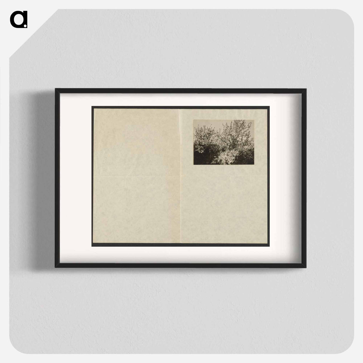 Apple Blossoms - アルフレッド スティーグリッツ Poster.