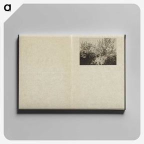1-63_Alfred-Stieglitz_canvas