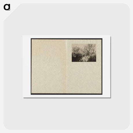 アートポストカード-Apple Blossoms - アルフレッド スティーグリッツ Postcard.