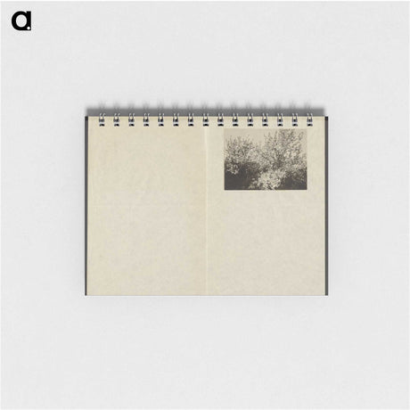 1-63_Alfred-Stieglitz_memo