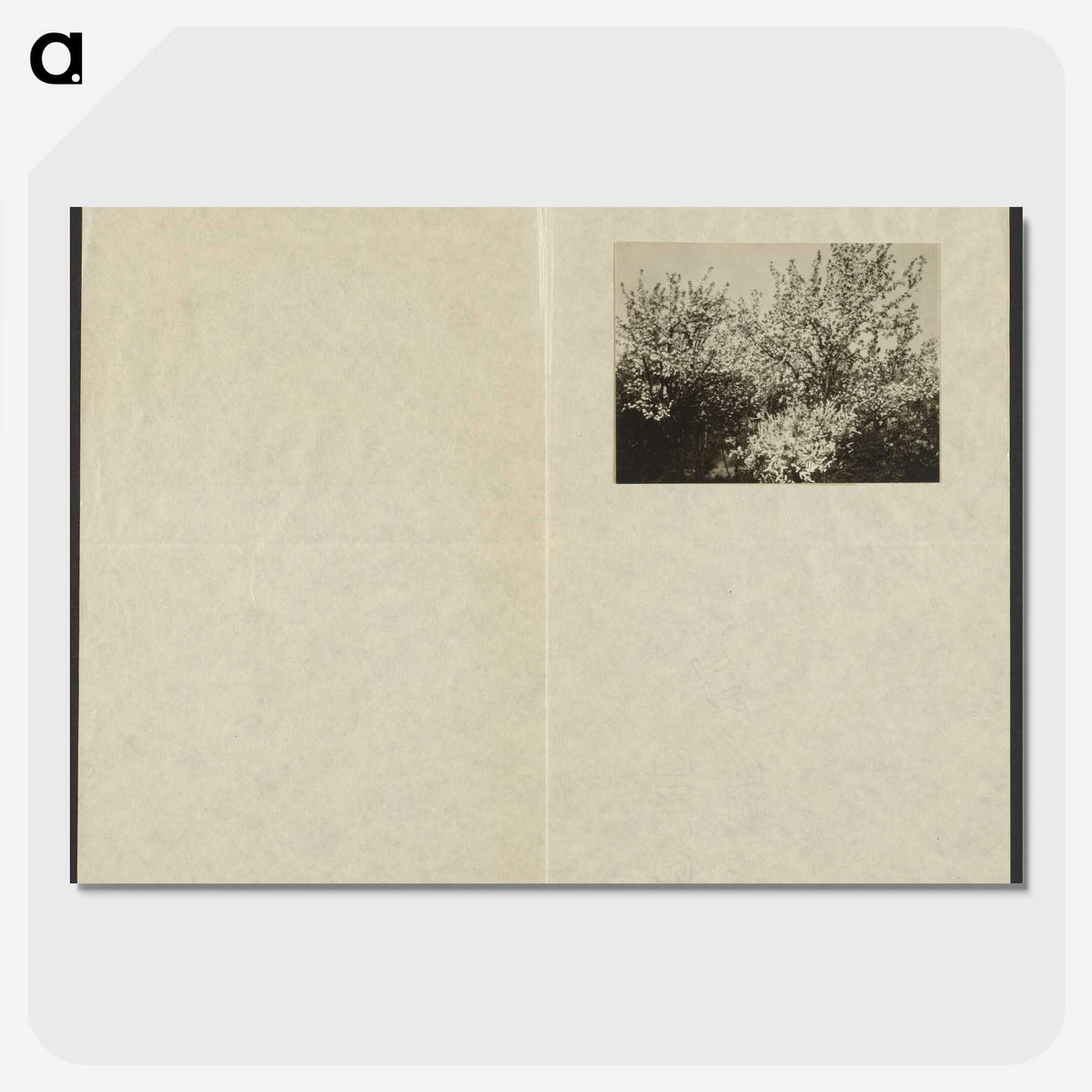 1-63_Alfred-Stieglitz_picture-crop