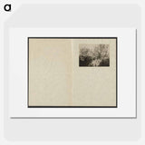 Apple Blossoms - アルフレッド スティーグリッツ Poster.