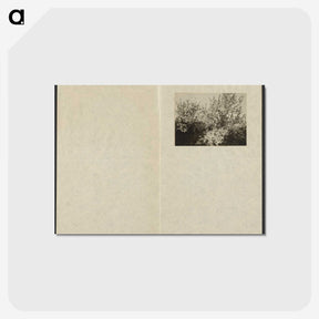 1-63_Alfred-Stieglitz_postcard