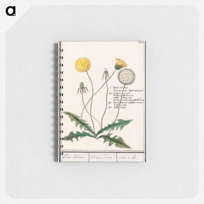 アートメモ帳-Dandelion - アンセルムス ボエティウス デ ブート Memo.