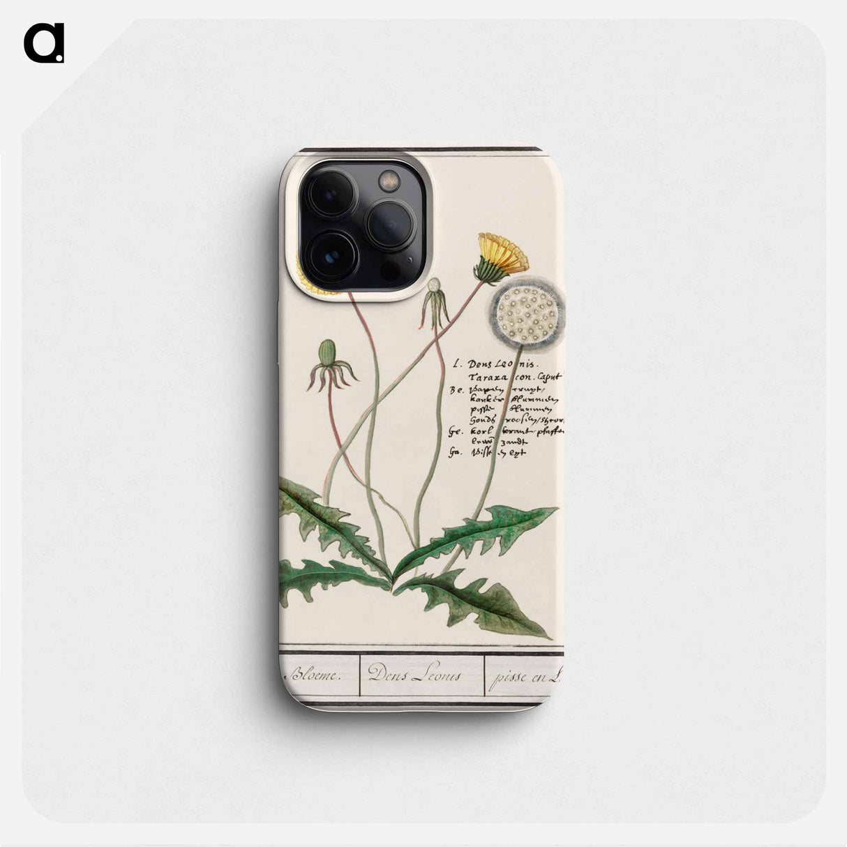 Dandelion - アンセルムス ボエティウス デ ブート Phone Case.