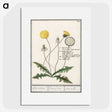 1-63_Anselmus-Boetius-de-Boodt_picture