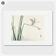 1-63_Bairei-Gakan_picture