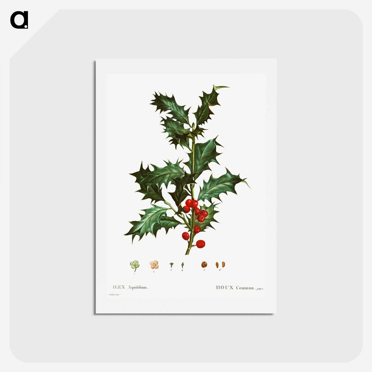 1-63_Christmas_hagaki