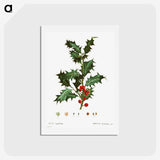 1-63_Christmas_hagaki
