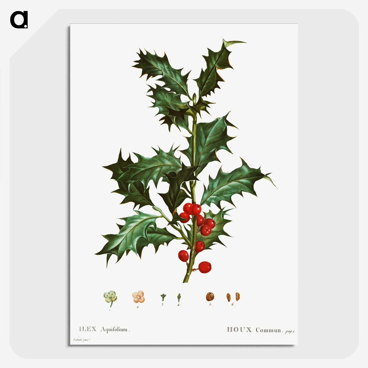 1-63_Christmas_picture-crop