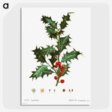 1-63_Christmas_picture-crop