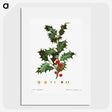 1-63_Christmas_picture