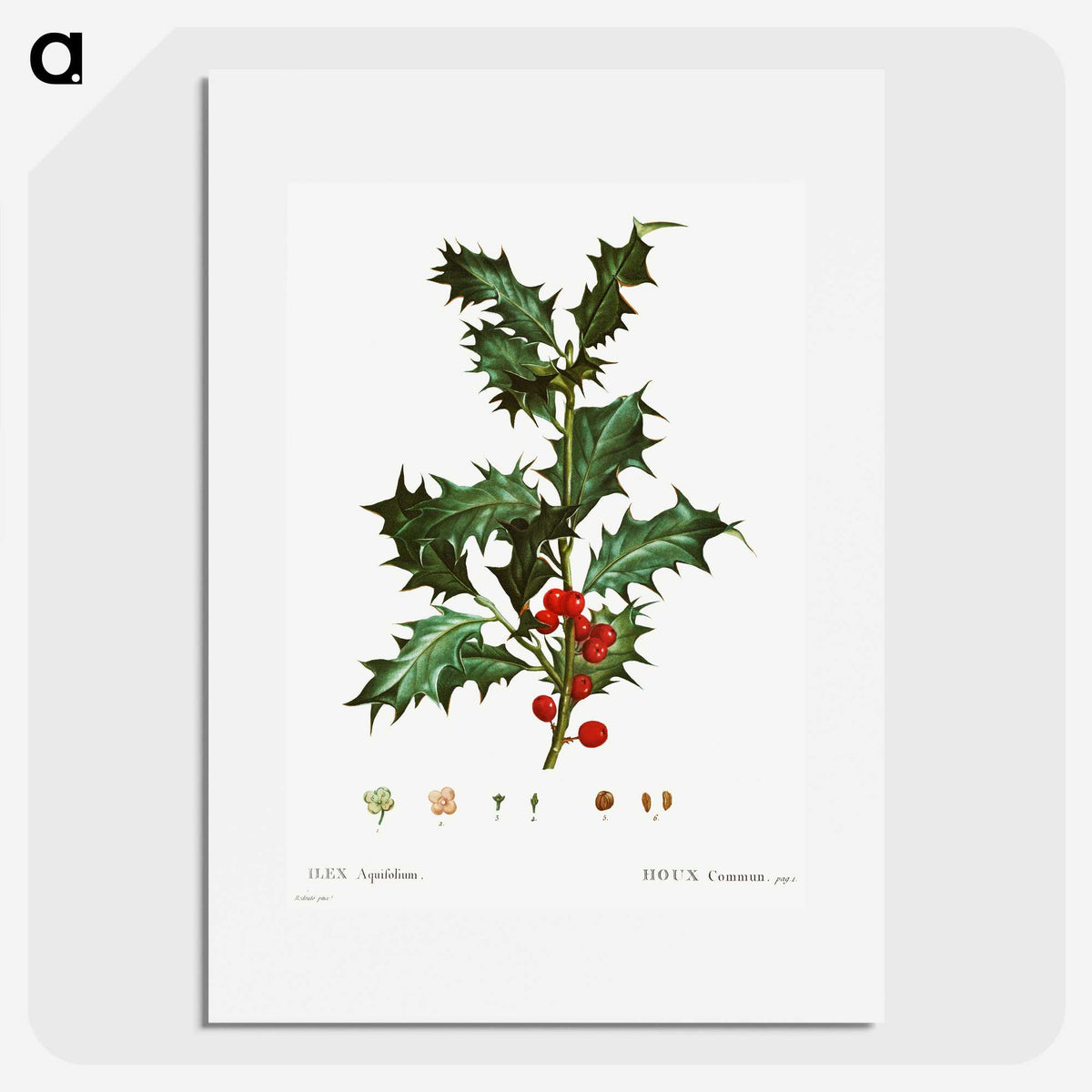 1-63_Christmas_picture