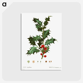 1-63_Christmas_postcard