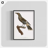 1-63_Des-Oiseaux-de-Paradis_blk-crop