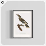 1-63_Des-Oiseaux-de-Paradis_blk
