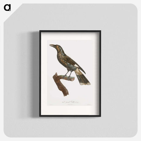 1-63_Des-Oiseaux-de-Paradis_blk