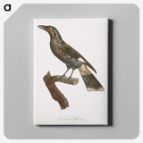 1-63_Des-Oiseaux-de-Paradis_canvas