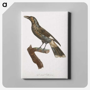 1-63_Des-Oiseaux-de-Paradis_canvas