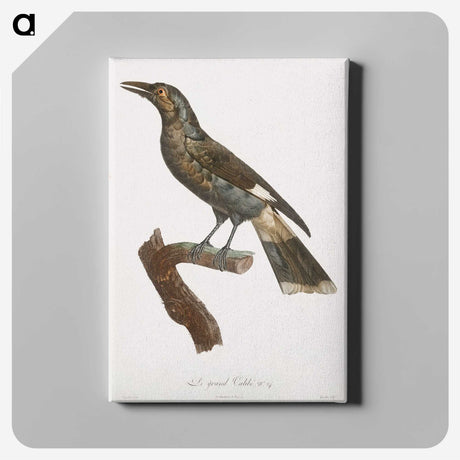 1-63_Des-Oiseaux-de-Paradis_canvas
