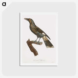1-63_Des-Oiseaux-de-Paradis_hagaki